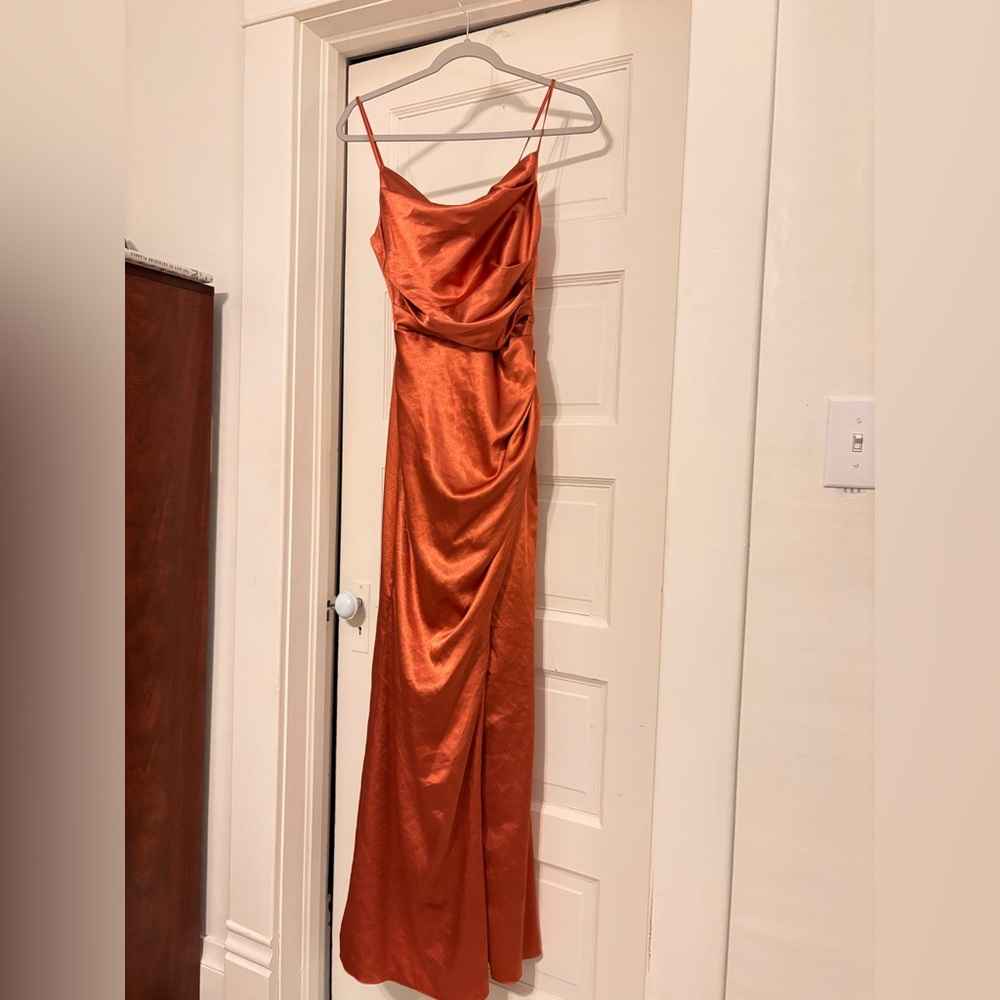 Birdy Grey Lydia Dress Terracotta Color in Shiny Satin